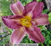 no image available at present.jpg 